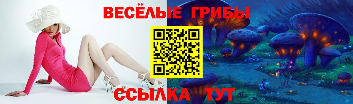 Псилоцибиновые грибы мицелий  Вход с VPN  Шахты 