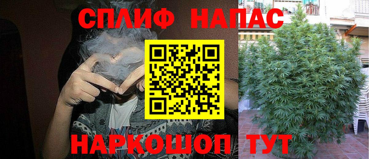 МАРИХУАНА планчик Шахты